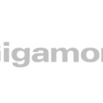 Gigamon logo